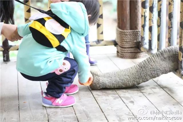 广州长隆亲子游最省钱攻略,广州长隆亲子游最全游玩攻略