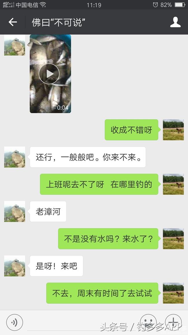 冬钓封竿,冬钓鲫鱼爆护