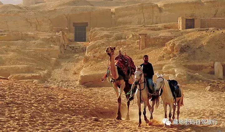 杩嫓绁炵娌欐紶涔嬫梾,杩嫓鏃呮父璧拌繘绁炲鑰屾ⅵ骞荤殑杩嫓