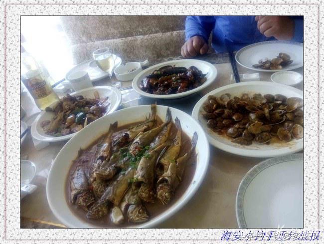 一年四季都可以钓的鱼种,一年四季可钓的鱼种