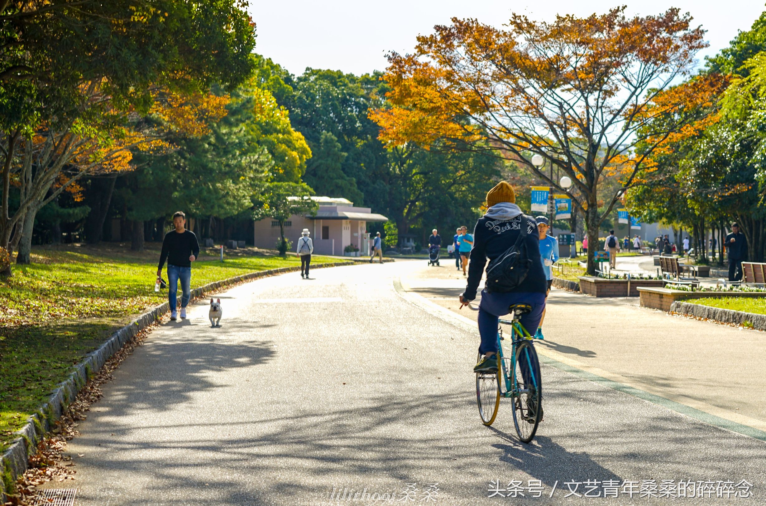 诺唯真邮轮喜悦号攻略,诺维真喜悦号日本游