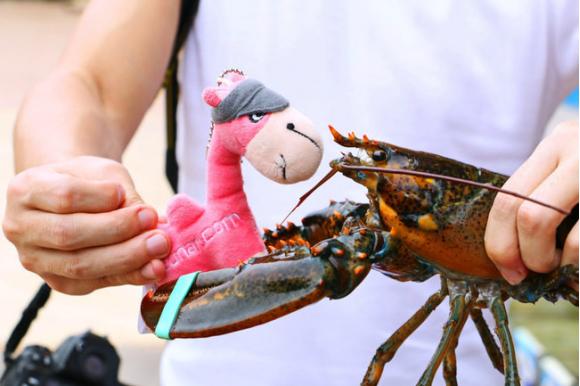 三亚市最美的景色拍摄,拍摄美丽三亚