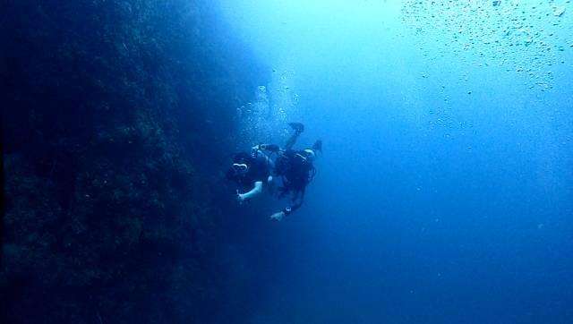 醉氧，醉酒，醉茶，千万别醉氮