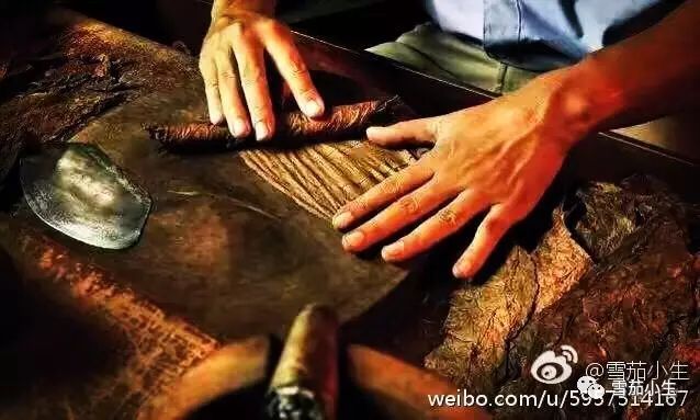 蒙特雪茄5号的问题,常见雪茄颜色有几种