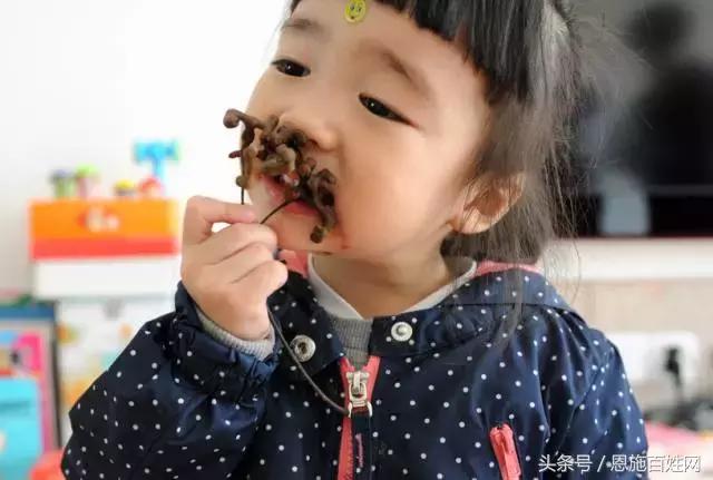 恩施山里野果小时候的味道,恩施野果大全