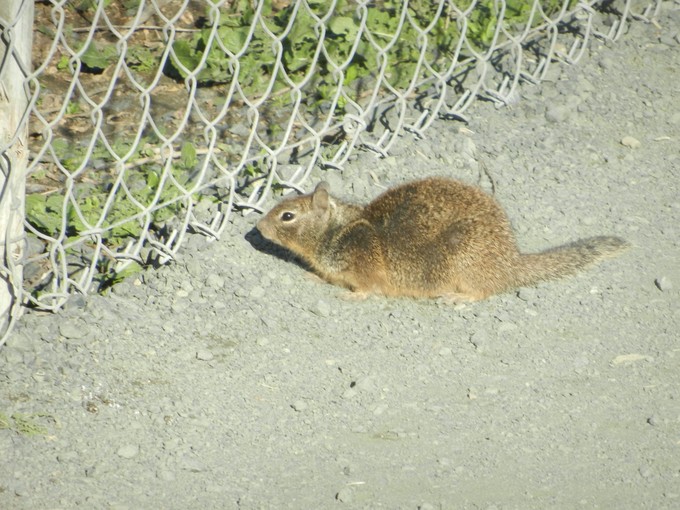 美西旅游攻略2月,美西小环线旅游攻略