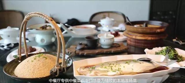 离城市不远靠自然很近,离城市不远却离自然很近完整版