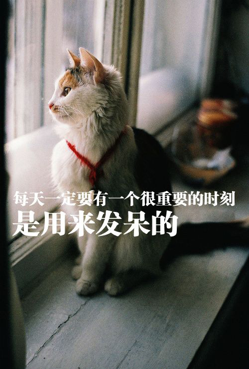 健康放松的十大方法,发呆养生法