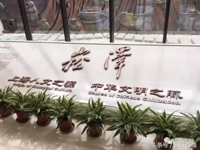 青浦17号线最好地段,青浦17号线起始时间