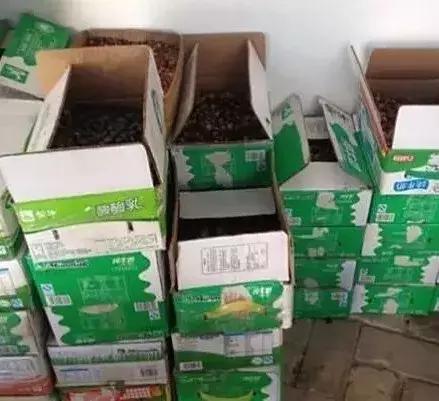 越“撸”越难，从一颗到一串，从一串到一箱，从……