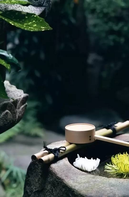 行路难诗词鉴赏,诗词赏析