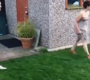 讴歌足球,讴歌运动型