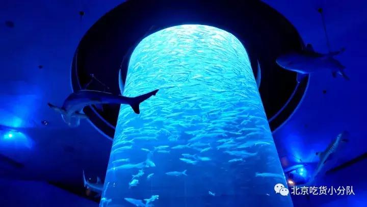 超全的香港吃喝玩乐指南！去玩的先马住~