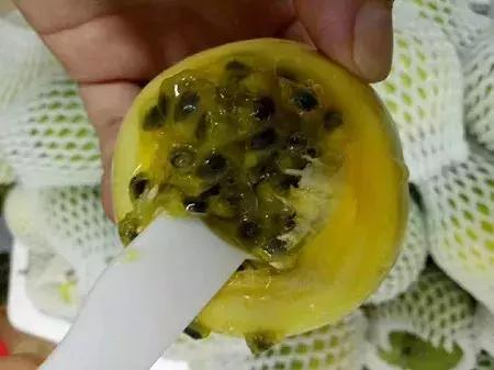 最新农产品供求信息,大农圈最新文章