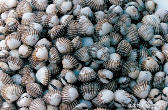 漳州市特产有哪些,漳州的特产有哪些介绍