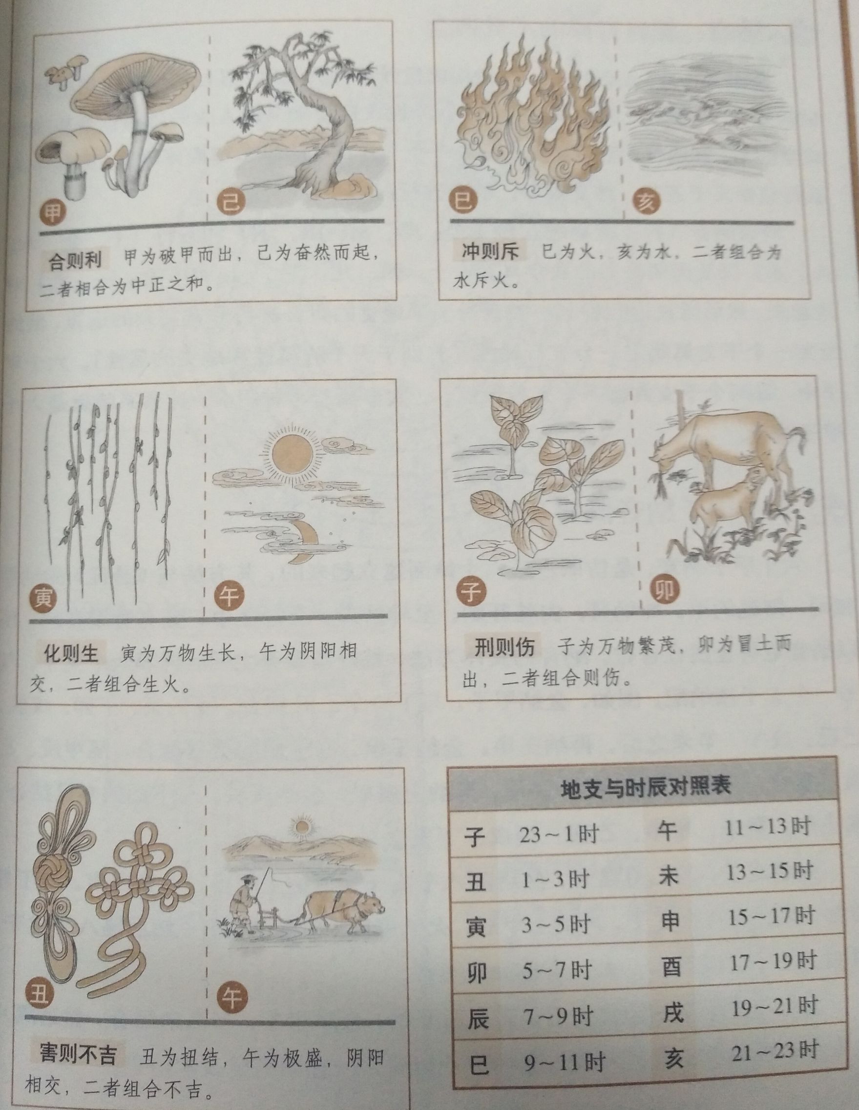 认识天干地支及八字,天干地支五行