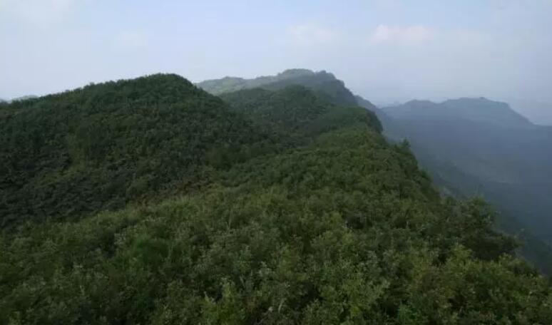 中国最牛的一个省会,中国最牛的一个县城