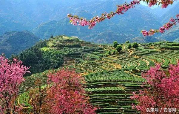 厦沙高速安溪最新消息,厦沙高速公路泉州段