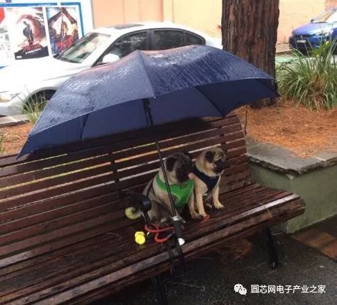 出家和出嫁做选择,出家人出嫁