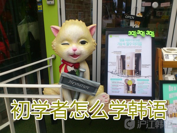 韩语学习韩语零基础入门教程,韩语入门韩语40音