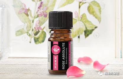 寒冷冬季，干燥肌肤不能错过的6款精油！