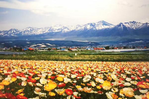 斑马旅游融资,斑马旅游a轮融资多少
