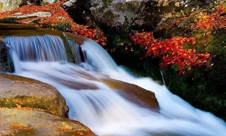 宁强旅游景点排名前十名,宁强县十大旅游景点