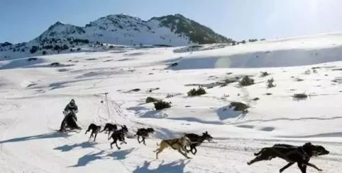 城生活｜老司机教你冰雪路面这样开车雪后吉林这样玩儿……