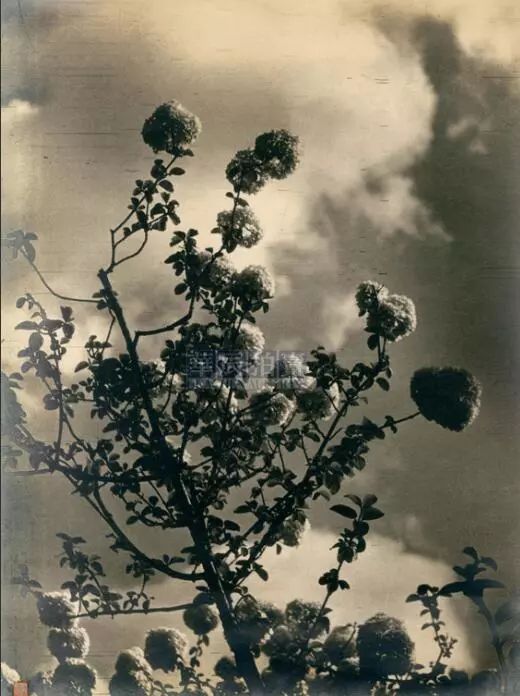 走一起去看车展,中国最贵的拍卖作品