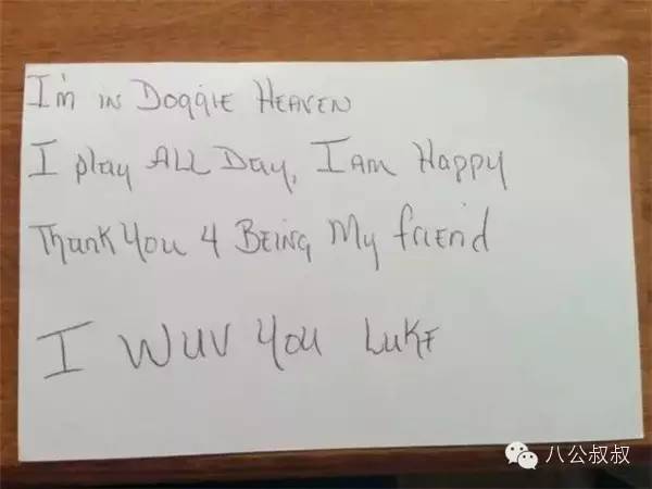 这是我的零用钱,请拿去给狗狗买防弹衣