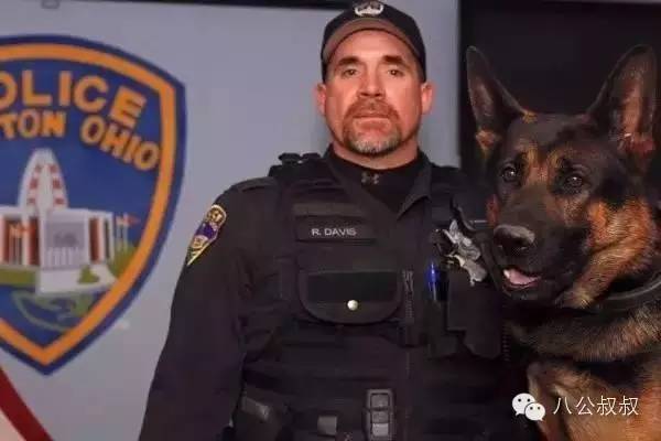 这是我的零用钱,请拿去给狗狗买防弹衣