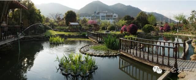 北仑自助农家乐,北仑春晓农家乐攻略