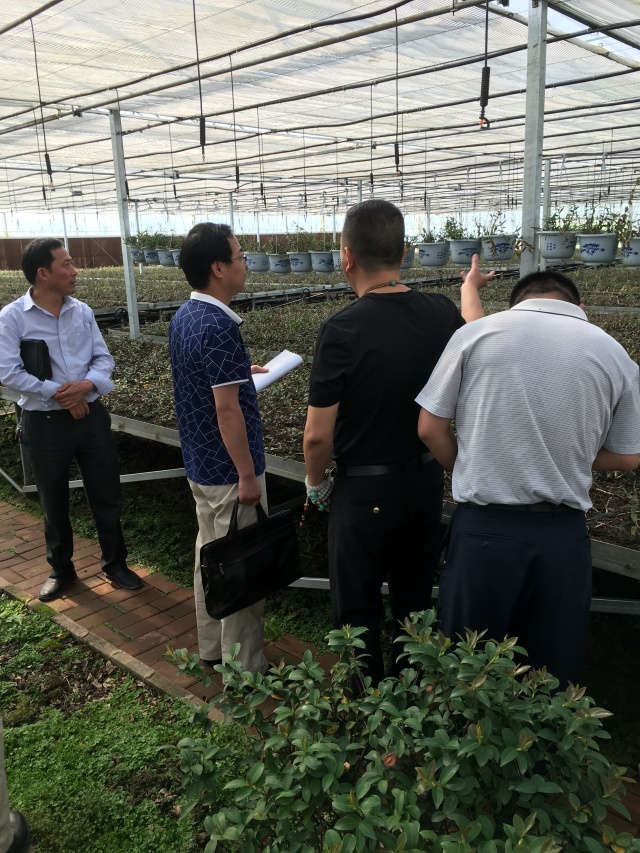 做好三农工作推进农业现代化,振兴乡村加快农业农村现代化