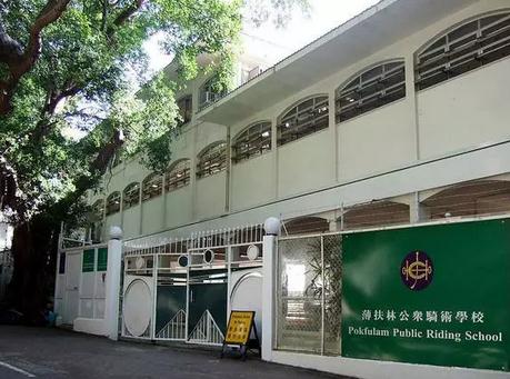 骑马能治好哪些病,骑马对身体健康有什么作用