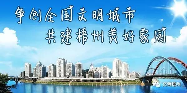 梧州市网上办事大厅,梧州政务服务网上办理营业执照
