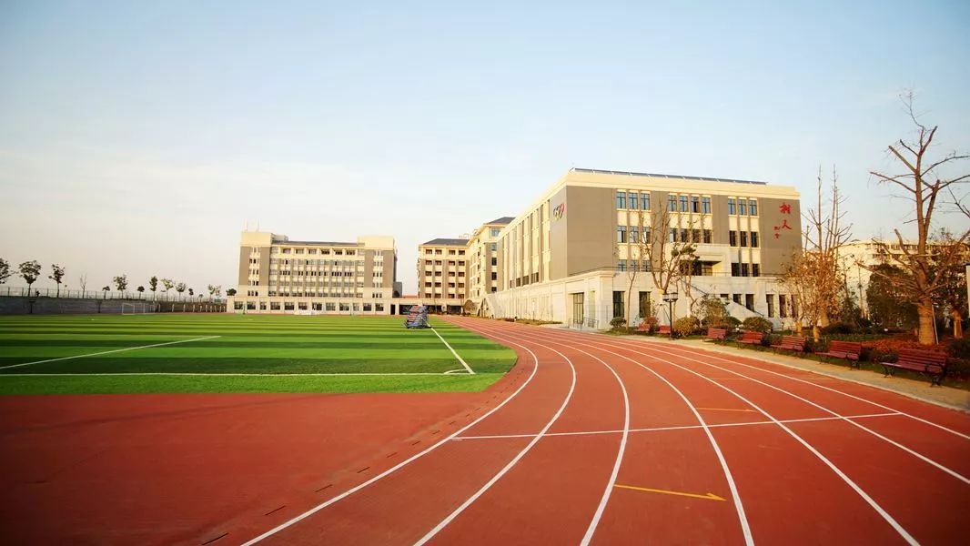 南师树人附小,南师树人小学好不好