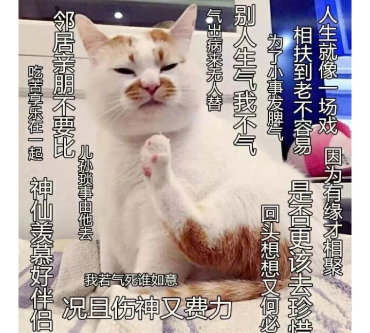 佛系跑步,慢跑佛系跑步