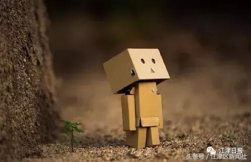 有你家的孩子吗,有你家娃吗