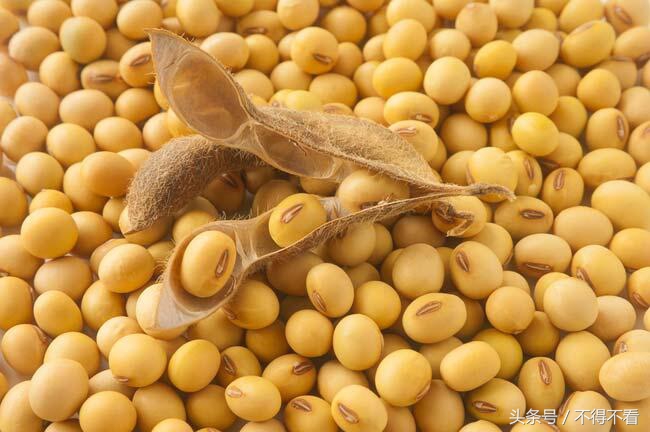 美豆外盘期货实时行情29日,今日美豆粕期货实时行情走势