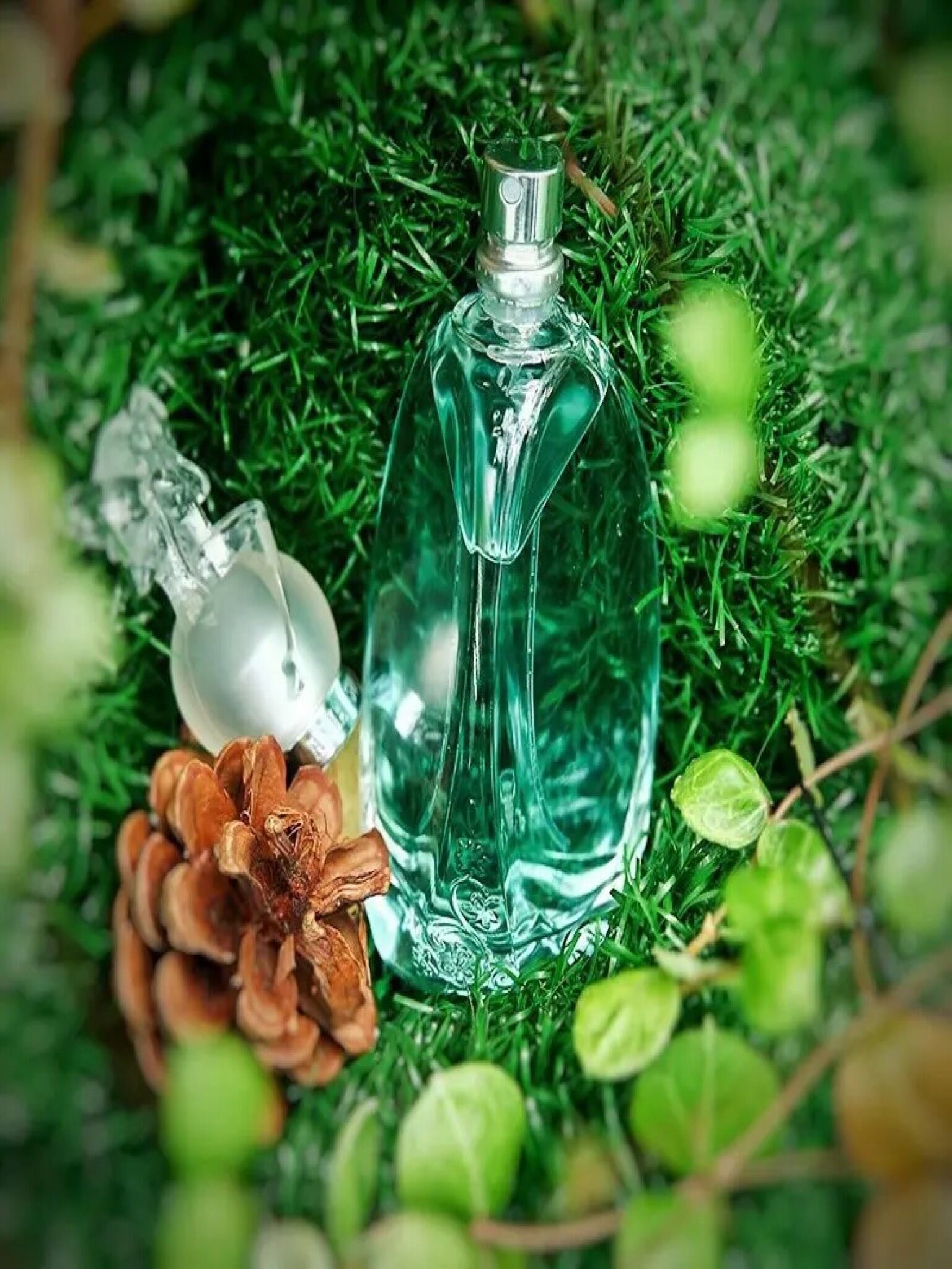 闻香识女人是爱情片吗,闻香识女人盘点八款法国热卖香水