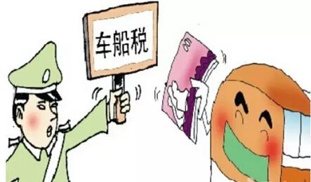 车船税照片是啥样的,车船税叫什么