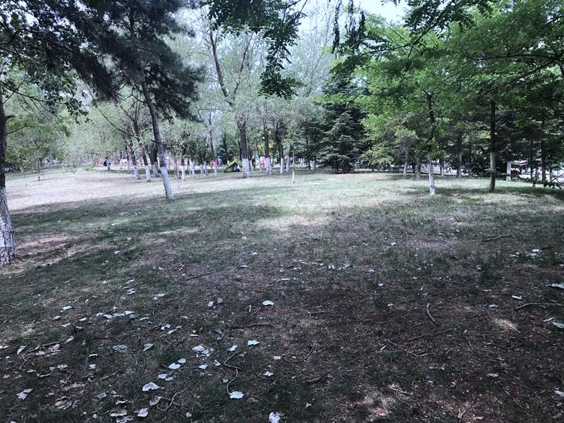 能翻山越岭也能走遍大江南北,能翻山越岭山海皆可平