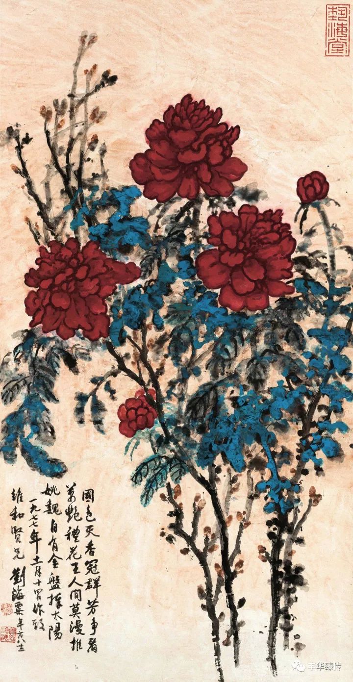 帽哥直播回放完整版最新,帽哥直播最新回放完整版