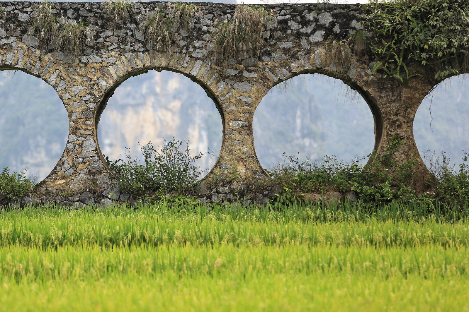 天等小记-登一座山爱一座城看一片天等日夕晨