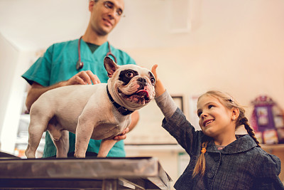 狗狗的营养学知识,狗狗营养知识100条