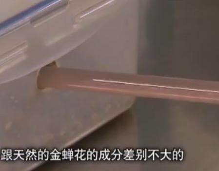 冬虫夏草股票,冬虫夏草闯股市