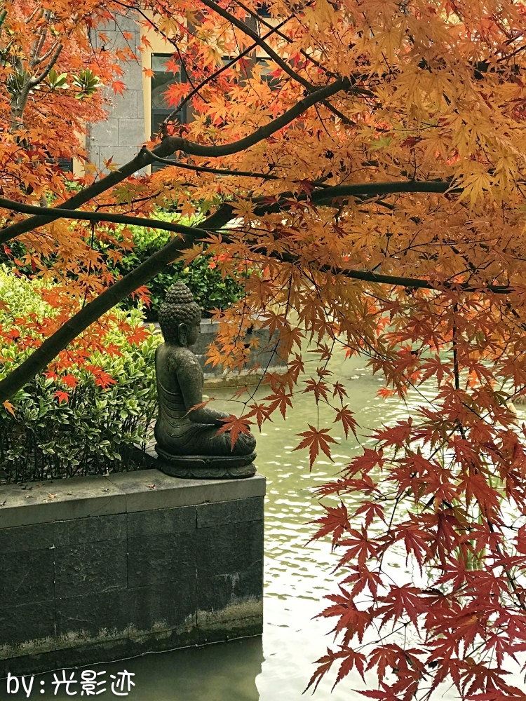 临安众安湍口氡温泉官网,杭州临安湍口众安氡温泉滑雪