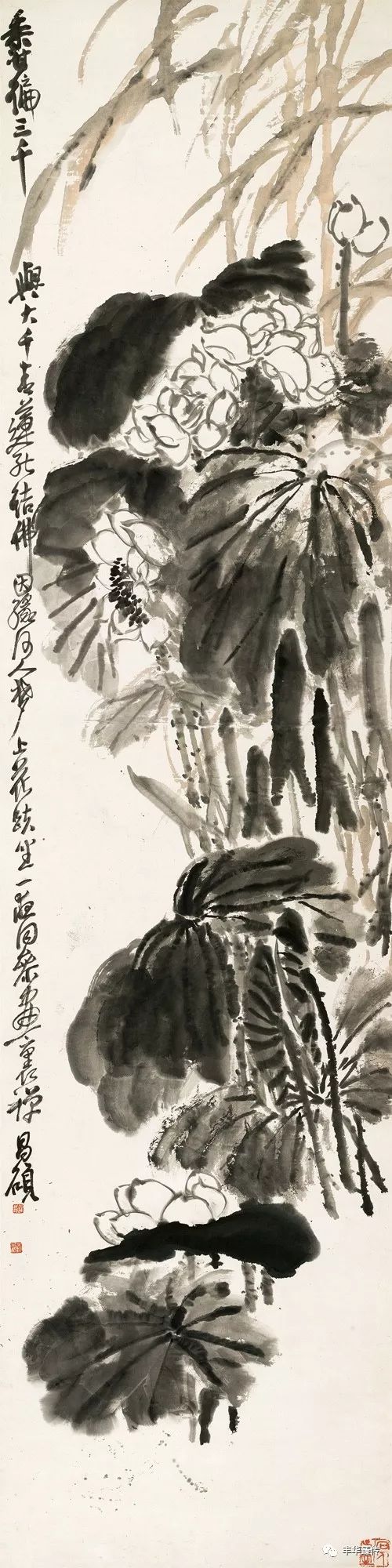 帽哥直播回放完整版最新,帽哥直播最新回放完整版