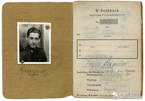 矢车菊凋谢在多瑙河畔：*党**卫军第22“玛丽亚·特蕾莎”骑兵师简史