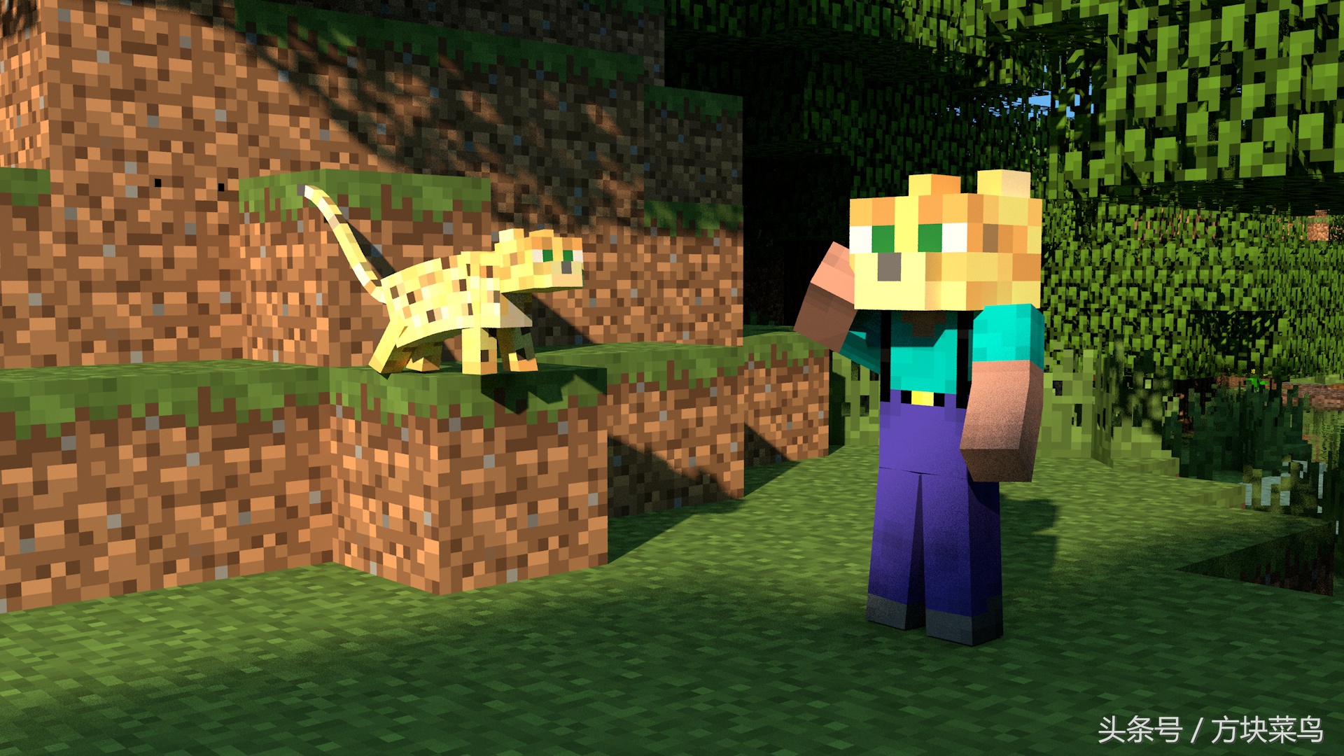 我的世界mc菜鸟模式,mc我的世界菜鸟生存攻略